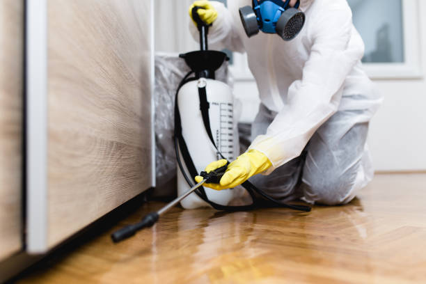 Elmont, NY Pest Control Company