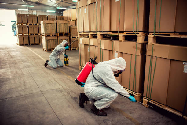 Best Best Pest Control Companies  in Elmont, NY