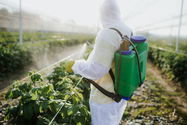 Flea Control Services in Elmont, NY